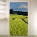 Fototapeta na drzwi – Fuji