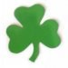 Shamrock – Magnes